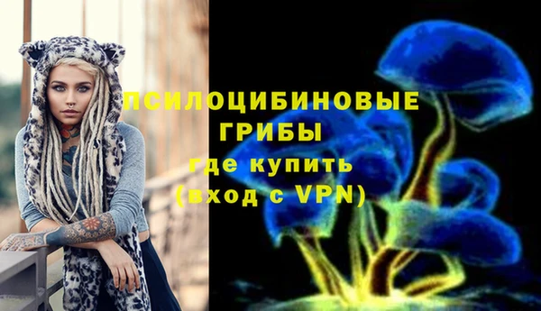 кокс Армянск