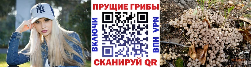 Галлюциногенные грибы Cubensis  Миллерово 